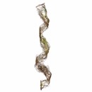 Moss and Twig Ribbon
