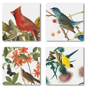 Audubon Birds Coaster Set | Milwaukee Art Museum