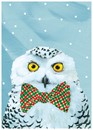 Snowy Owl Boxed Card Set